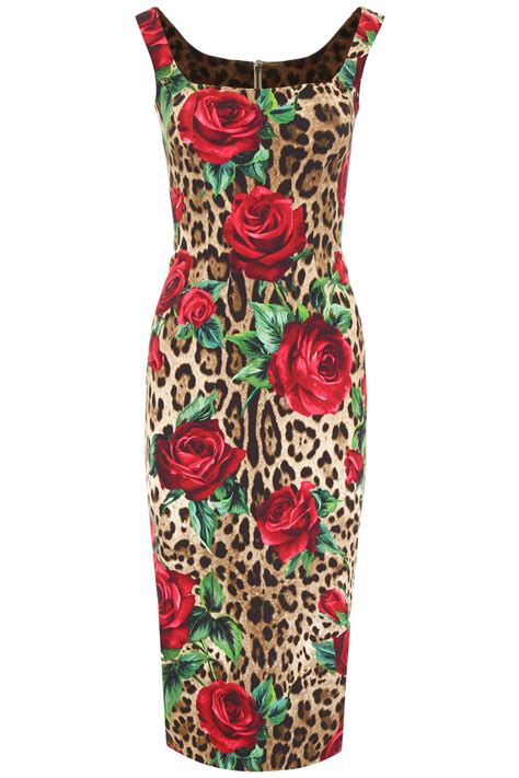 dolce gabbana leopard rose dress|Dolce & Gabbana rose print dress.